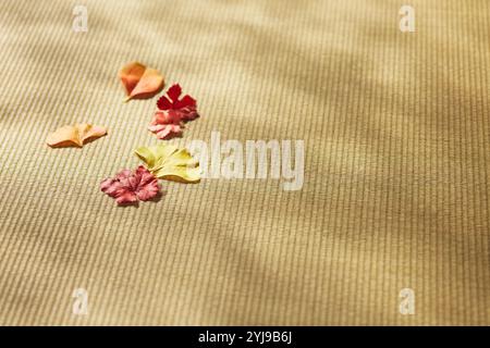 Foglie cadute su un tappetino tatami Foto Stock