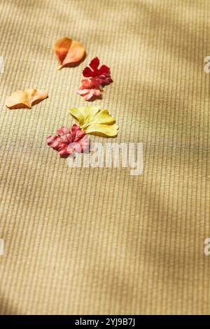 Foglie cadute su un tappetino tatami Foto Stock