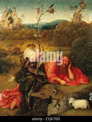 Hieronymus Bosch / "San Giovanni Battista nella natura selvaggia", c. 1489, olio su tavola, 48,5 x 40 cm. Museo: MUSEO LAZARO GALDIANO, MADRID, SPAGNA. San Giovanni Battista. Foto Stock