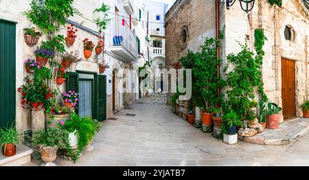 Viaggi in Italia e luoghi di interesse. Affascinanti cittadine tradizionali dell'Italia meridionale in Puglia - città vecchia di Monopoli con stradine floreali. Foto Stock