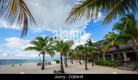 Palme che fiancheggiano graziosamente la spiaggia sabbiosa di un resort tropicale a Mauritius. Foto Stock