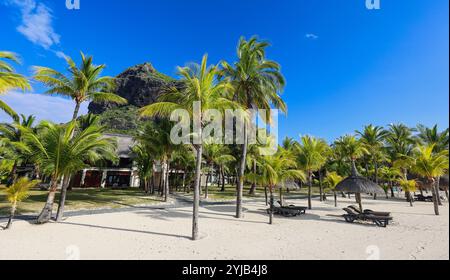 Una scenografica spiaggia di sabbia con palme e una maestosa montagna sullo sfondo, situata a Mauritius. Foto Stock