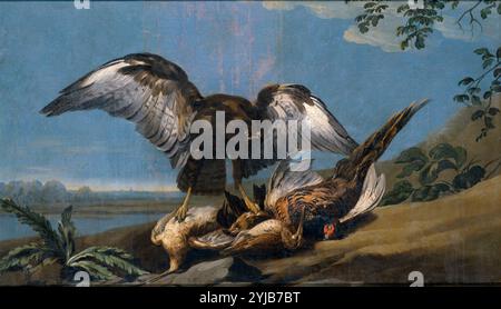 José del Castillo / "Un aquilone con un gruppo di uccelli morti", 1774, Scuola spagnola, olio su tela, 91 cm x 155 cm, P03035. MUSEO: MUSEO DEL PRADO, MADRID, SPAGNA. Foto Stock