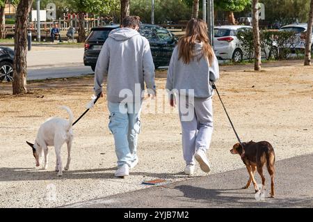 Viladecans. Spagna - 14 novembre 2024: Coppia che si gode una piacevole passeggiata con i loro due cani in un parco soleggiato. L'ambiente caldo e vivace e il piacere Foto Stock