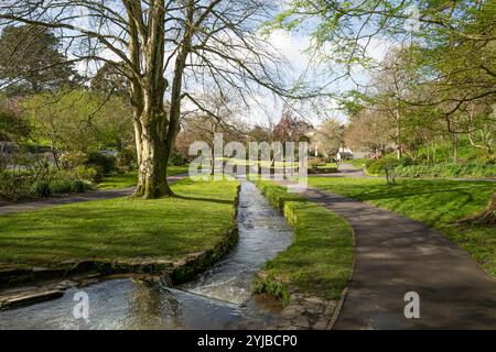 Un piccolo torrente fluviale che scorre attraverso gli storici e premiati Trenance Gardens a Newquay in Cornovaglia nel Regno Unito. Foto Stock