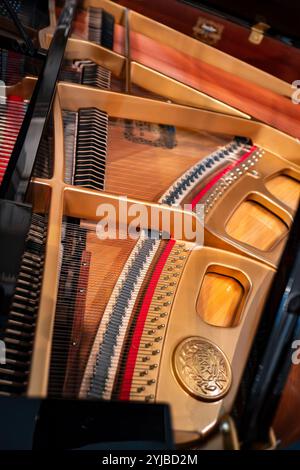 Un pianoforte a coda aperto da concerto rivela il suo funzionamento interno. Foto Stock