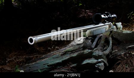 Fucile moderno e possibilità di caccia che è un muzzlelader in linea Foto Stock