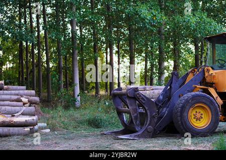 industria del legno, macchina per la movimentazione dei materiali con benna a polipo per lo spostamento dei tronchi di taglio durante l'abbattimento degli alberi Foto Stock