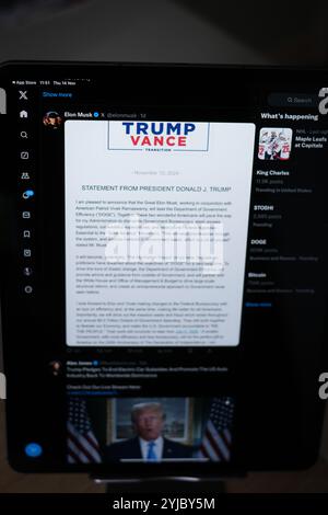New York, USA - 143 novembre - Elon Musk pubblica su X Twitter la sua nomina a capo del Dipartimento dell'efficienza del governo Foto Stock