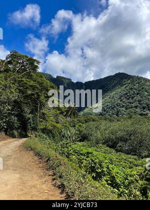 Un sentiero sterrato conduce attraverso la foresta tropicale con una lussureggiante cascata di montagna sullo sfondo. C'è un cielo blu brillante e nuvole bianche soffici. Foto Stock