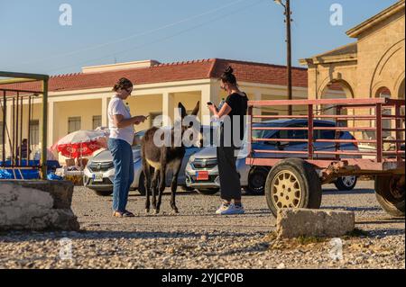 In un mercato vivace, due donne si impegnano con un asino mentre esplorano i dintorni sotto il sole luminoso. Foto Stock