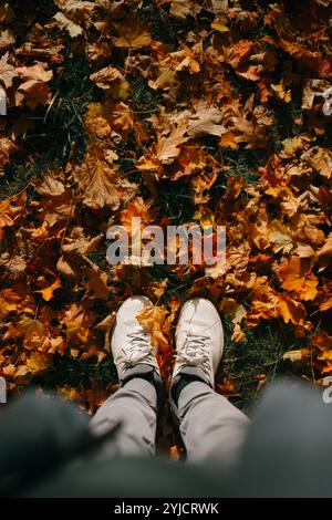 Vista in prima persona su foglie autunnali colorate con sneakers bianche Foto Stock
