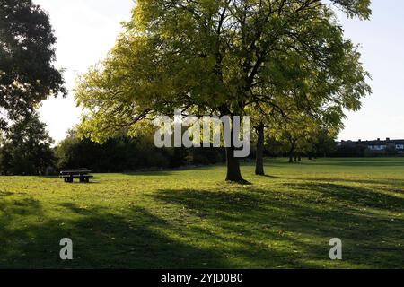 Dagenham, a est di Londra. Foto Stock