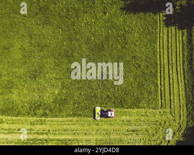 Vista aerea di un trattore che taglia un campo verde con erba fresca, di un agricoltore in un trattore moderno che taglia un campo verde con erba fresca in una giornata di sole. Foto Stock