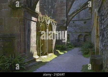 Chiostro gotico, rovine, vista interna, chiostro gotico, frammento Foto Stock