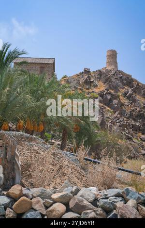 Oasi con vecchia torre di guardia e palme nelle montagne Hajar, Fujairah, Emirati Arabi Uniti Foto Stock