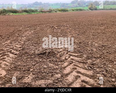 Tracce di pneumatici del trattore lasciate il terreno fangoso dopo l'aratura, Somerset, Inghilterra Foto Stock