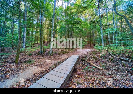 Ponte in legno nella foresta autunnale con vista dall'alto delle colline di Hocking Foto Stock