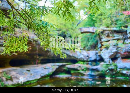 Lush Foliage e Stone Bridge a Upper Falls Ohio Eye-Level View Foto Stock