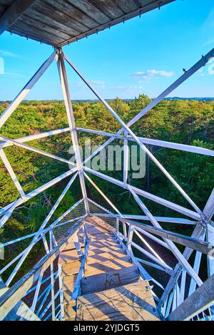 La Torre del fuoco si affaccia sulla lussureggiante foresta con tettoia d'oro Foto Stock