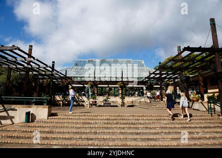 Kirstenbosch Gardens, Sudafrica Foto Stock