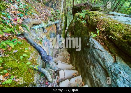 Antica scalinata Mossy a Cantwell Cliffs, sentiero a livello degli occhi dell'Ohio Foto Stock