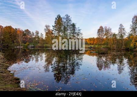 Stagno Blockheideteich nel parco naturale Blockheide Gmünd Waldviertel Niederösterreich, bassa Austria Austria Austria Foto Stock