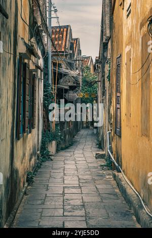 Vicolo stretto con alti edifici storici su ogni lato, Hoi An, Vietnam Foto Stock