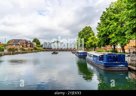 Una vista sulle barche da diporto ormeggiate nel bacino del canale delle navi a Chichester, nel Sussex in estate Foto Stock