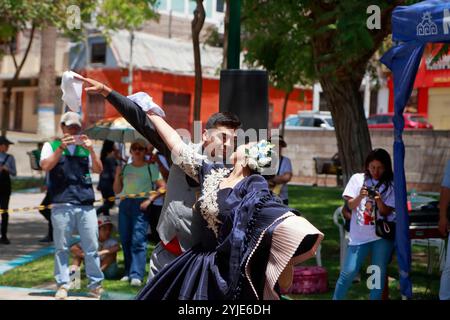 Concorso di costumi per cani a Moquegua, Perù, il 9 novembre 2024, con costumi ecologici. un paio di ballerini durante l'intervallo dell'evento. Foto Stock