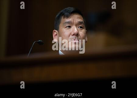 David Samuel Johnson parla durante un'audizione del Comitato finanziario del Senato sulla sua nomina a ispettore generale per l'amministrazione fiscale presso il Campidoglio degli Stati Uniti a Washington, DC, giovedì 14 novembre 2024. Foto di Anna Rose Layden/UPI credito: UPI/Alamy Live News Foto Stock