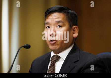 Washington, Stati Uniti. 14 novembre 2024. David Samuel Johnson parla durante un'audizione del Comitato finanziario del Senato a Washington DC. (Foto di Aaron Schwartz/Sipa USA) Credit: SIPA USA/Alamy Live News Foto Stock