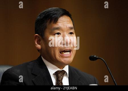 Washington, Stati Uniti. 14 novembre 2024. David Samuel Johnson parla durante un'audizione del Comitato finanziario del Senato a Washington DC. (Foto di Aaron Schwartz/Sipa USA) Credit: SIPA USA/Alamy Live News Foto Stock