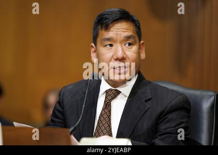 Washington, Stati Uniti. 14 novembre 2024. David Samuel Johnson parla durante un'audizione del Comitato finanziario del Senato a Washington DC. (Foto di Aaron Schwartz/Sipa USA) Credit: SIPA USA/Alamy Live News Foto Stock