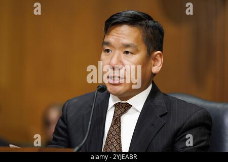 Washington, Stati Uniti. 14 novembre 2024. David Samuel Johnson parla durante un'audizione del Comitato finanziario del Senato a Washington DC. (Foto di Aaron Schwartz/Sipa USA) Credit: SIPA USA/Alamy Live News Foto Stock