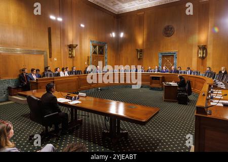 Washington, Stati Uniti. 14 novembre 2024. David Samuel Johnson parla durante un'audizione del Comitato finanziario del Senato a Washington DC. (Foto di Aaron Schwartz/Sipa USA) Credit: SIPA USA/Alamy Live News Foto Stock