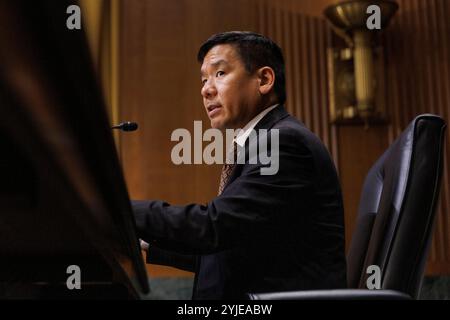 Washington, Stati Uniti. 14 novembre 2024. David Samuel Johnson parla durante un'audizione del Comitato finanziario del Senato a Washington DC. (Foto di Aaron Schwartz/Sipa USA) Credit: SIPA USA/Alamy Live News Foto Stock