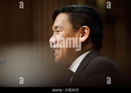 Washington, Stati Uniti. 14 novembre 2024. David Samuel Johnson parla durante un'audizione del Comitato finanziario del Senato a Washington DC. (Foto di Aaron Schwartz/Sipa USA) Credit: SIPA USA/Alamy Live News Foto Stock