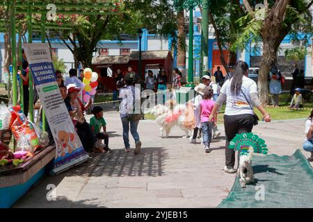 Concorso di costumi per cani a Moquegua, Perù, il 9 novembre 2024, con costumi ecologici. L'evento ha presentato progetti creativi e sostenibili, professionisti Foto Stock