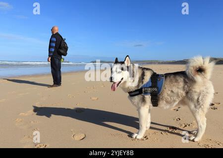 Siberian Husky cane e uomo che guardano al mare sulla spiaggia deserta, Cornovaglia, Regno Unito. Bella giornata sulla spiaggia con cielo azzurro e lunghe ombre Foto Stock