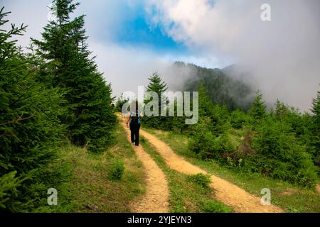 Gruppo di escursionisti esperti che camminano nelle splendide montagne di Kackarlar (catena montuosa di KaCkar), percorso popolare, Turchia. Percorso escursionistico dell'altopiano di Pokut. Foto Stock