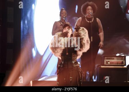 Roma, Italia. 14 novembre 2024. Emma Marrone durante il concerto del Tour "in da Town" al Palazzo dello Sport il 14 novembre 2024 a Roma - Italia Credit: Live Media Publishing Group/Alamy Live News Foto Stock