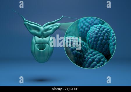 Cellule tumorali della prostata nell'epitelio ghiandolare prostatico - vista isometrica 3D illustrazione Foto Stock