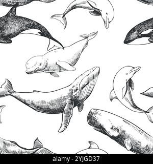Motivo senza cuciture con animali marini su sfondo bianco. Schizzo vettoriale disegnato a mano nella tecnica di incisione. Capodoglio, megattere, delfino, balena beluga, balena assassina. Disegno inchiostro monocromatico. Illustrazione Vettoriale