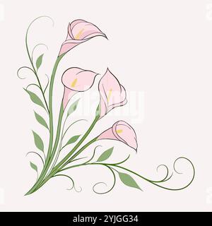 Gigli di calla rosa con sfondo rosa tenue Illustrazione Vettoriale