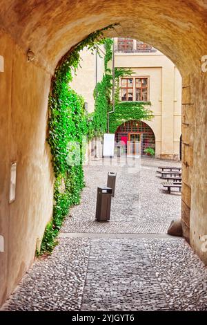 Area vicino alla Cattedrale Metropolitana di Santi Vito.Cattolica Romana Cattedrale metropolitana di Praga, la sede dell'Arcivescovo di Praga. Repubblica ceca Foto Stock