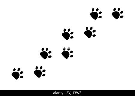 Paw print, Dog or Cat Walk Foot Tracking Border. Sentiero dei passi degli animali domestici. Linea a gradini silhouette semplice. Segni carini su sfondo bianco. Illustrazione vettoriale Illustrazione Vettoriale