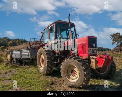 Un trattore rosso con rimorchio pieno di patate appena raccolte parcheggiato in un campo agricolo rurale Foto Stock