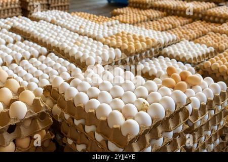 Una pila di cartoni di uova con alcune uova marroni al centro Foto Stock