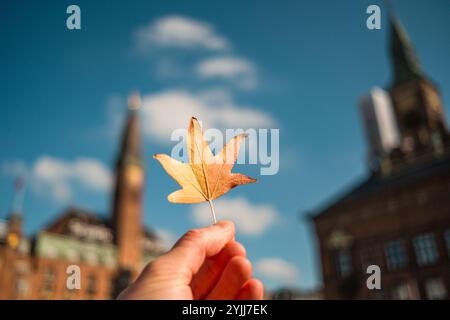 Mano che tiene le foglie autunnali a Copenaghen Foto Stock